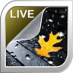 Logo of Rain Live Wallpaper android Application 